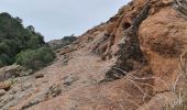 Tocht Stappen Le Muy - Le rocher de roquebrune  - Photo 20