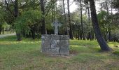 Randonnée Marche nordique Le Bosc - Le Bosc Grandmont - Photo 15