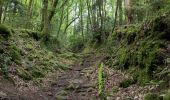 Percorso Marcia Quimperlé - Forêt de Carnoët  - Photo 5