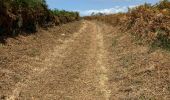 Percorso Marcia Crozon - CAP de la chèvre avec le hameau de Kerroux  - Photo 11