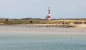 Excursión Bici de carretera Koksijde - A partir de Coxyde - Photo 12