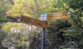 Excursión A pie Unknown - Gondelbahn - Wasserfallen - Photo 6