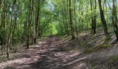 Trail Walking Riemst - autour de Kanne et St Pietersberg  - Photo 4