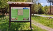 Trail On foot Ilmenau - Rennsteigleiter Manebach - Photo 1