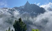 Excursión Senderismo Chamonix-Mont-Blanc - Chamonix : Montenvers-Aiguille du Midi - Photo 11