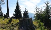 Tour Zu Fuß Ramsau bei Berchtesgaden - Wanderweg 67 - Photo 4