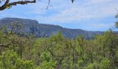 Trail Walking Nans-les-Pins - De Nans les pins vers les sources de l'Huveaune - Photo 16