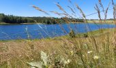 Trail Walking Chapelle-des-Bois - Le tour du lac des mortes. - Photo 4