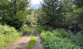 Trail Walking Raeren - Hauset 22,8 km - Photo 3