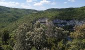 Tour Wandern Monieux - chemins perdus des gorges de la nesque - Photo 9