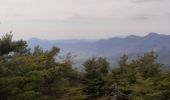 Tour Wandern Montauban-sur-l'Ouvèze - LABOREL 26 , COL DE PERTY. MONTAGNE DE CHAMOUSE O m s   - Photo 8