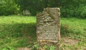 Randonnée A pied Berka vor dem Hainich - Wanderweg Sulzrieden - Photo 1