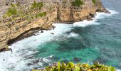 Tour Wandern Saint-François - Guadeloupe - Anse à la Baie à Porte d'Enfer - Photo 6