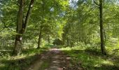 Tour Wandern Vieux-Moulin - en foret de Compiègne_38_07_2021_sur la Route Eugénie - Photo 5