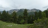 Randonnée Marche Châtillon-en-Diois - Montagne de Beaupuy - Nonnières - Photo 12