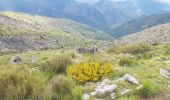 Tour Wandern Lucéram - Col de Porte Col de L’Autaret - Photo 1