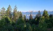 Trail Walking Les Adrets - LA CIME DE LA JASSE PAR LE GROS CAILLOU ET RETOUR PAR LE REFUGE D'AIGUEBELLE - Photo 4