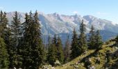 Trail Walking Le Grand-Bornand - AIGUILLE VERTE boucle - Photo 1