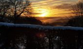Trail Walking Stoumont - balade hivernale avec Rantanplan  - Photo 1