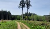 Trail Walking Bouillon - sabots de Godefroid  - Photo 5