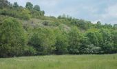 Tour Zu Fuß Balgstädt - Rundweg Hirschroda - Photo 1