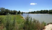 Tocht Te voet Zaragoza - Paseando por los tres ríos - Photo 7