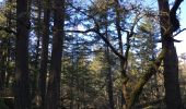 Trail Walking Saanich - High Ridge Trail - Photo 2