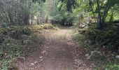Trail Walking Aubaine - Crepey - Photo 17