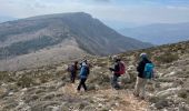 Trail Walking Courmes - Courmes  - Photo 18