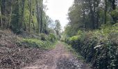 Randonnée Marche Chimay - Chimay - abbaye 29 km - Photo 4