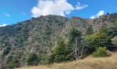 Trail Walking Saint-André-de-Valborgne - aire de côté à l aigoual - Photo 2