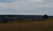 Tour Wandern Olne - 20200820 - OLNE 8.4 Km - Photo 15