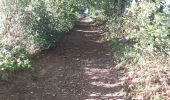 Trail Walking Valorbiquet - la rando des lavoirs  - Photo 7