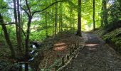 Trail Walking Frasnes-lez-Anvaing - Balade au pays de collines - Photo 1