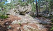 Tocht Stappen Fontainebleau - Fontainebleau sentier Denecourt 9 Est - Photo 10