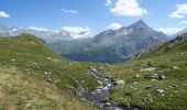 Tour Zu Fuß Surses - Julier, La Veduta-Furcia Grevasalvas-Plaun da Lej - Photo 4