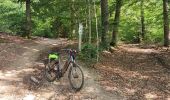 Trail Walking La Roche-en-Ardenne - promenade 4 et 5 pour le groupe du jeudi - Photo 10