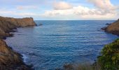 Tocht Stappen Port-Vendres - batterie - collioure . fort sant elme .port vendres . la mauresque - Photo 7