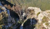 Randonnée Marche Mazaugues - le Mourre d'Agnis au départ du Caucadis - Photo 5