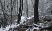 Tour Wandern Jalhay - Solwaster-Statte-Hoegne - Photo 10
