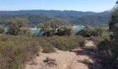 Tour Wandern Les Adrets-de-l'Estérel - Saint cassien - Photo 1