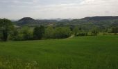 Tour Wandern Le Puy-en-Velay - Chemin de Stenvenson 1 - Photo 12