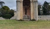 Tour Wandern Castellet-en-Luberon - St Martin de Castillon - Caseneuve - Photo 8