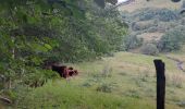 Tour Wandern Marcenat - PR du tour du Bonjon - Photo 3