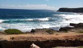 Trail Walking Le Moule - Porte d'Enfer - Anse Gros Morne - Photo 13