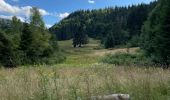 Trail Walking La Bresse - La chaume des Champis - Photo 1