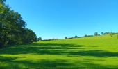 Tour Wandern Comblain-au-Pont - Comblain-au-Pont d´une rive à l´autre - Photo 18