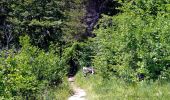 Tour Zu Fuß Limone sul Garda - Limone sul Garda - Cima di Mughera - Photo 5