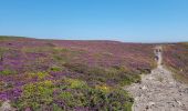 Randonnée Marche Plévenon - du Fort La Latte au Cap Fréhel - Photo 10