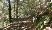 Trail Walking Saint-Gervais - Les Écouges - Pas de Pierre Taillée - Photo 10